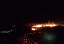 Incendiu de vegetație la Scoarța! Au ars 20 de hectare de iarbă uscată
