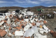 Mormane de gunoaie pe Transalpina