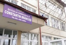 Aproximativ 200 de elevi gorjeni vor concura, în weekend, la Olimpiada de Lingvistică “Solomon Marcus”