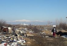 Mamă și fiu, amendați pentru aruncare de deșeuri