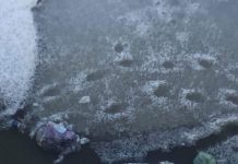 Echipajul de la Ambulanță, care a aruncat gunoiul în râu, a scăpat cu mustrare