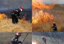 Pompierii fac apel la cetățeni să respecte măsurile de prevenire a incendiilor de vegetație uscată