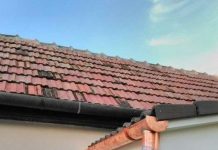 Înșelăciune cu burlane la Novaci