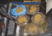 Percheziții la locuința unei femei din Târgu-Jiu