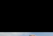 VIDEO: Liviu Dragnea, la Târgu-Jiu