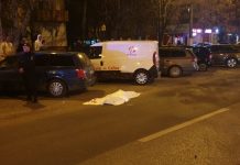 Ucis pe zebră de un student din Gorj