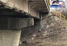 Ecologizare la Suşiţa!