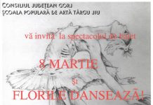 Spectacol de balet, la Casa Armatei