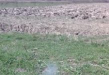 Explozie într-o locuinţă din Bengești-Ciocadia, provocată de o butelie