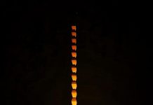 Ora Pământului, marcată la Târgu-Jiu