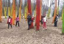 Excursii pentru 16 copii din sistemul de protecție specială