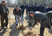 Acţiune de împădurire, demarată de Prefectura Gorj
