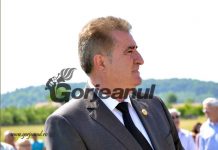 Senatorul Iriza vrea la ANRE. „Ar fi o provocare”