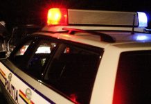 Femeie din Săulești, prinsă la volan fără permis