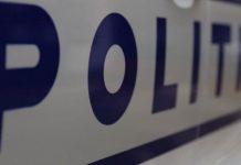 S-a oprit cu mașina în șanț, după ce a vrut să evite un câine