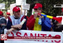 SANITAS GORJ A PICHETAT MINISTERUL MUNCII !