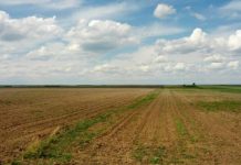 Submăsura 16.1, prelungită de MADR