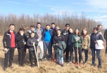 Voluntariatul – forma de responsabilizare și leadership