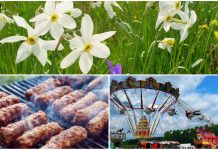 Fără comerț second-hand la Drăgoieni și în Poiana Narciselor