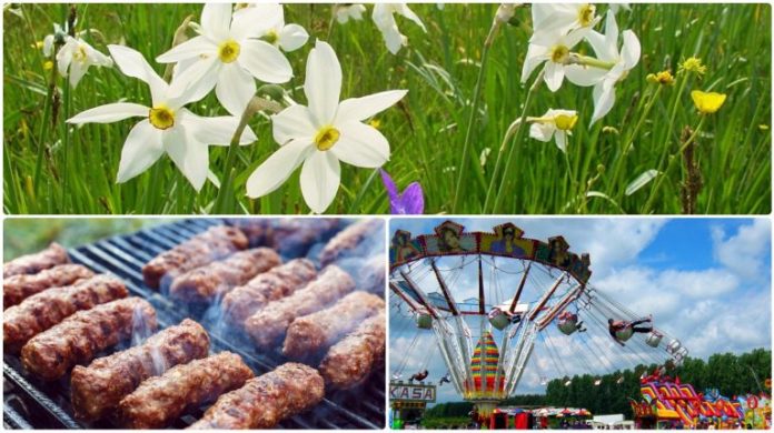 1mai-narcise-768x430