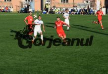 Pandurii, thriller la Arad!