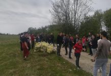 Galerie foto: Studenții UCB, salariați ai CJ Gorj și ISU au ecologizat Poiana Narciselor