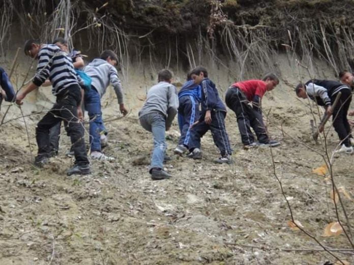 58372663_2316185361986088_7797498995445596160_n