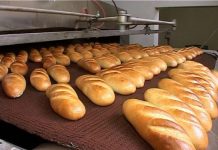 Amenzi de peste jumătate de miliard de lei vechi, aplicate de inspectorii DSV