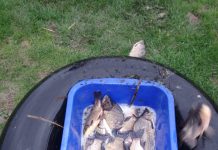 La pescuit cu setca, în perioada de prohibiție