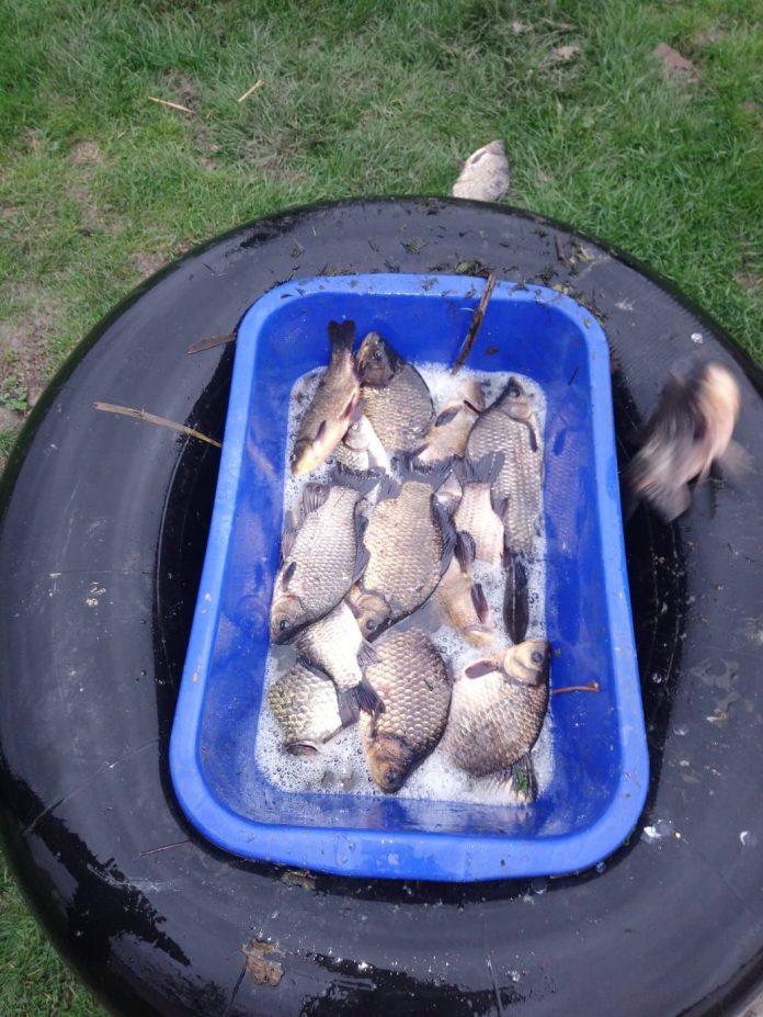 WhatsApp Image 2019-04-12 at 11.53.55