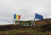 Sute de voluntari au plantat 9.000 de puieți, la Negomir