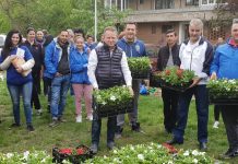 Zeci de mii de flori, plantate de membrii ALDE, în tot județul!