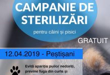 Campanie de sterilizare gratuită pentru patrupede, la Peştişani