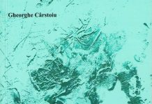 Cartea de Teatru – Familia Bogatu – o comedie de Gheorghe Cârstoiu