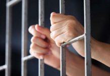 Tânăr din Scoarța, reținut după un plan diabolic