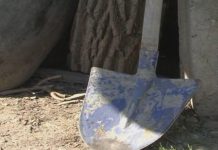 Arestat după ce și-a lovit vecinul cu lopata în cap