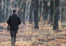 Silvicutorii ies în stradă