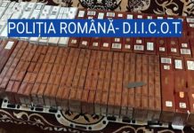 Percheziții în Olt și Argeș, făcute de polițiști din Gorj