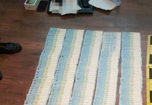 Bărbat din Novaci, reținut după perchezițiile în dosarul cu prejudiciu de 500.000 de euro