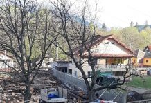 Poliția, în control la depozite de cherestea din Padeș