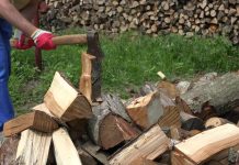 Ameninţări după 50 de ani de relaţie: „Îţi tai gâtul şi ţi-l pun în gard!”