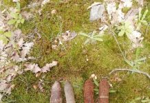 Proiectile din Primul Război Mondial, găsite la Bumbești-Jiu