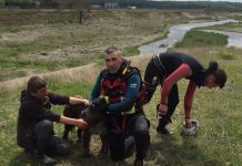 Salvat din râul Sohodol de către salvamontiștii gorjeni