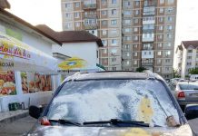 Mașină vandalizată în Târgu-Jiu! Autoturismul plin de făină și borcane de murături