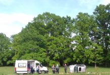 FOTO: Accidentul de la Câlnic, provocat de o șoferiță începătoare