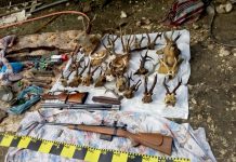 FOTO: Percheziție la Licurici