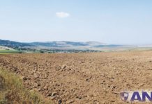 Terenuri la prețuri de nimic, scoase la licitație de Finanțele Gorj!