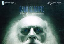 Cronica teatrală – Azilul de noapte – de Maxim Gorki în regia lui Andrei Mihalache