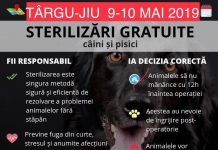 Două zile de sterilizări gratuite, la Târgu-Jiu