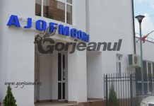 Concurs la AJOFM Gorj pe un post de consilier superior
